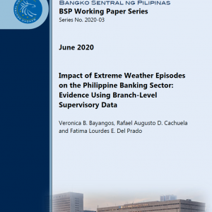 BSP Impact of Extreme Weather Episodes on the Philippine Banking Sector Evidence Using Branch-Level Supervisory Data Image